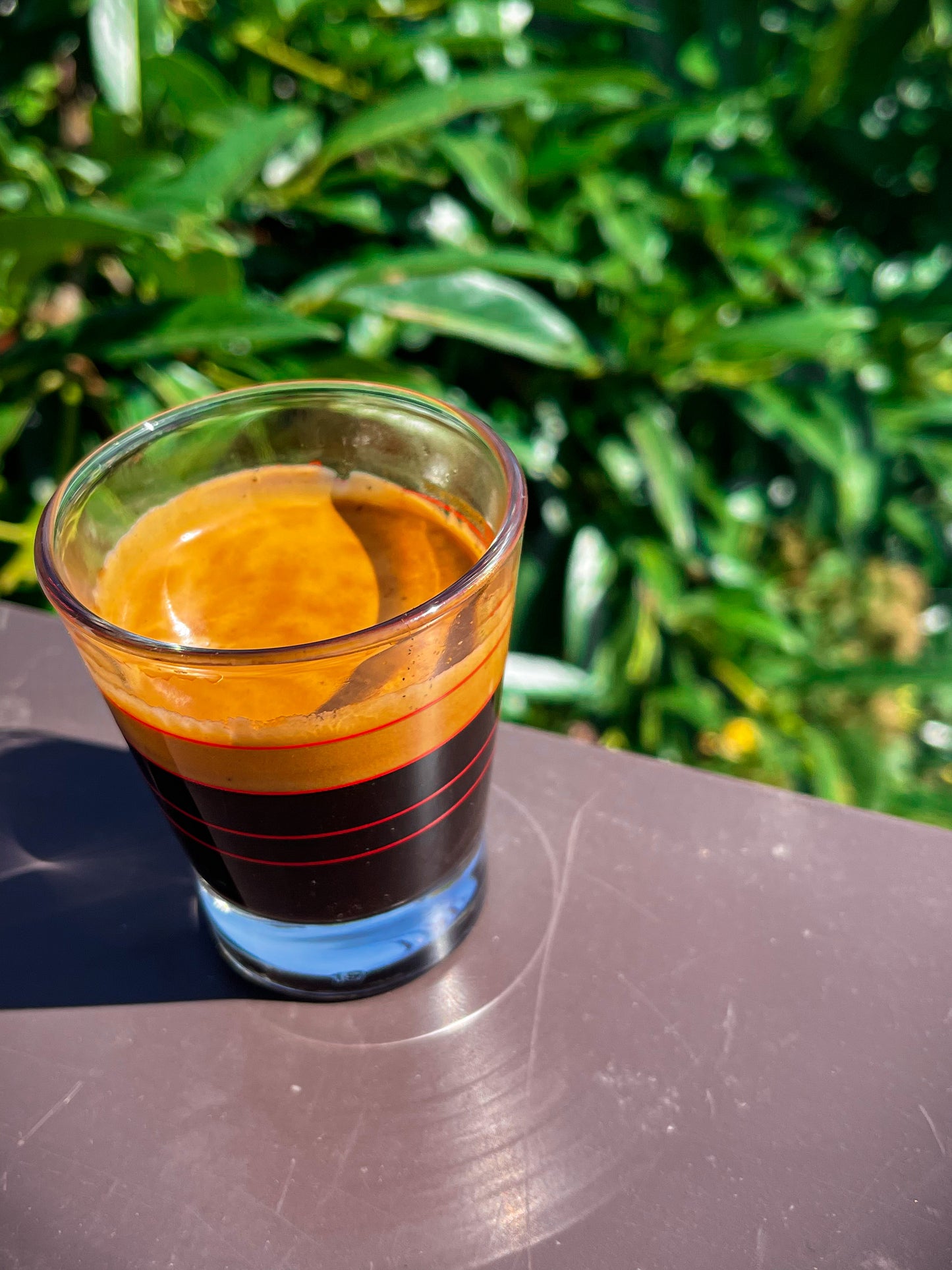 Signature Espresso Blend