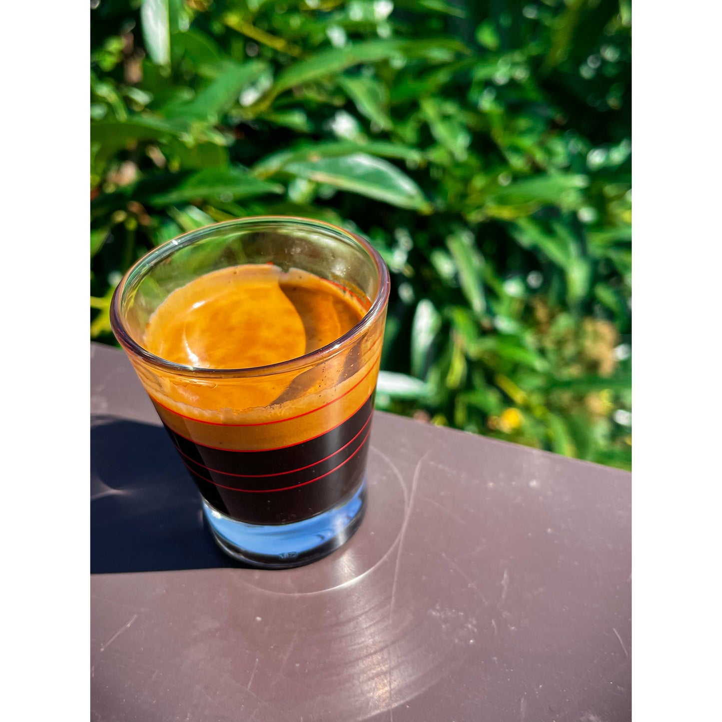 Barista-Workshop: Werde zum Meister der Kaffeezubereitung